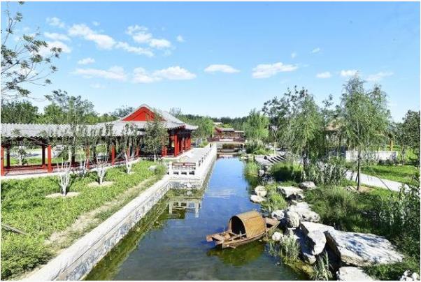 “藍綠交織”森林城市怎么建？看北京城市副中心做法