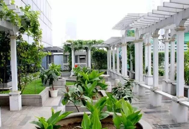 湖北凱蒂園林告訴你園林綠化工程主要包含哪些內容？